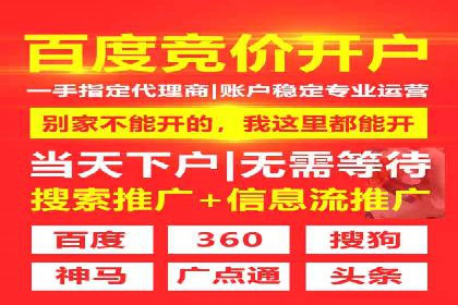 竞价开户推广案例营销策略